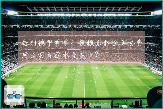 告别德甲首季，樊振东扣除乒协费用后实际薪水是多少？