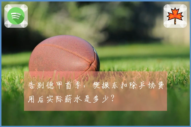 告别德甲首季，樊振东扣除乒协费用后实际薪水是多少？