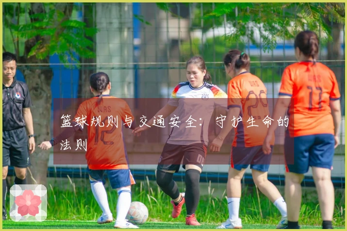 篮球规则与交通安全：守护生命的法则